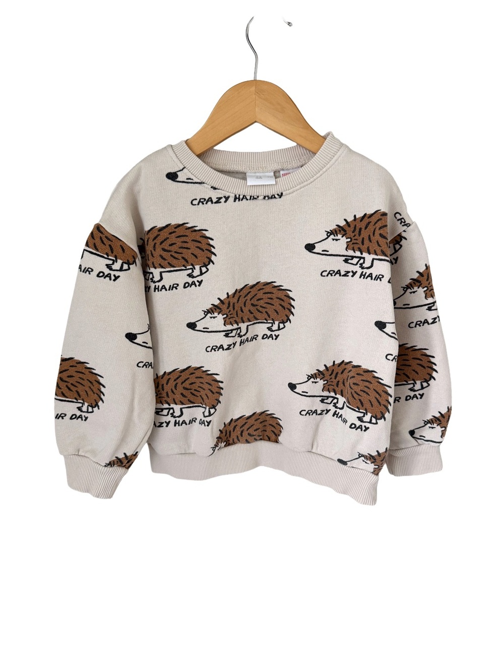 Kids Beige Hedgehog Graphic Sweatshirt - Crazy Hair Day Size 4/5 Years